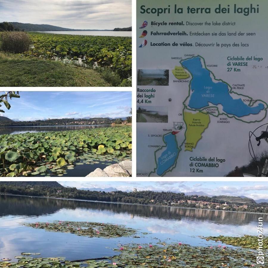 Casa Chia Lago Maggiore 瓦雷泽 外观 照片