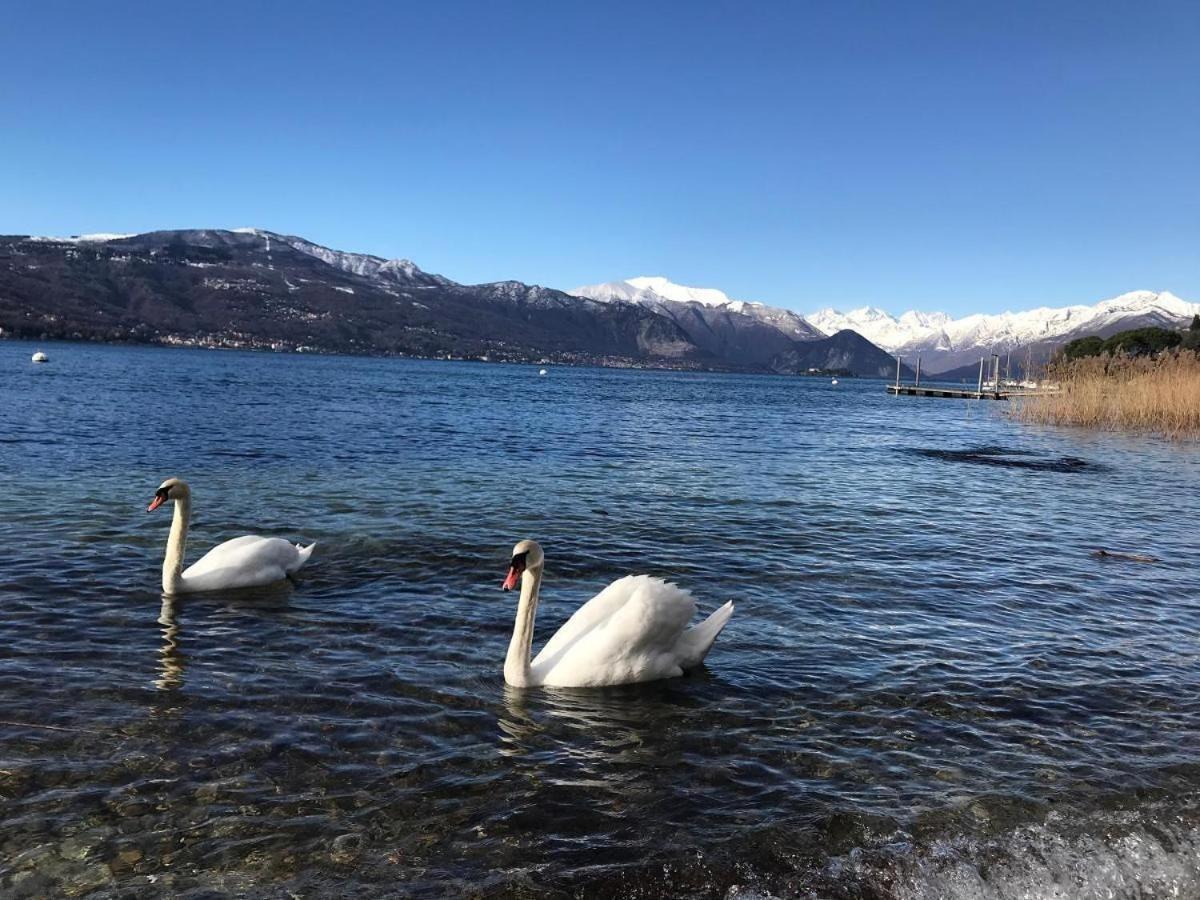 Casa Chia Lago Maggiore 瓦雷泽 外观 照片